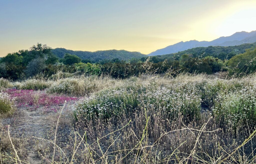 Ojai Valley River trail