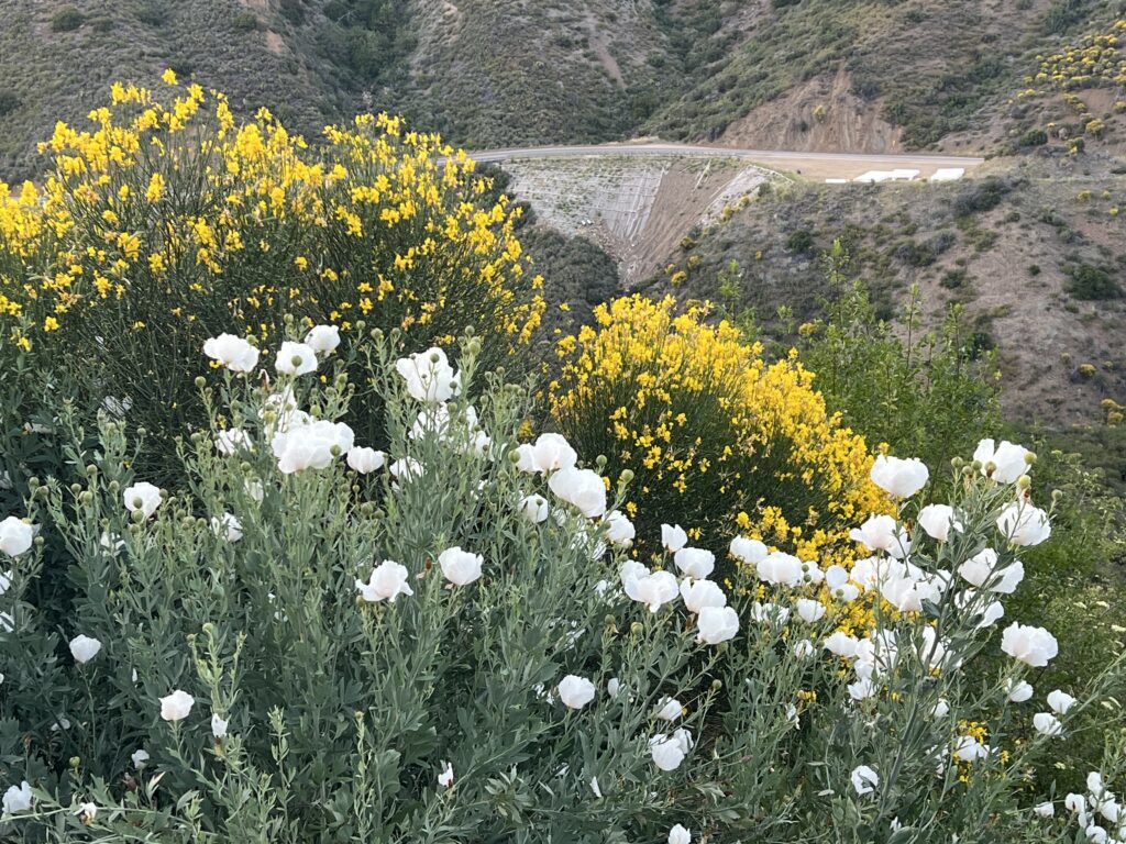 Drive down 33 into the mountains