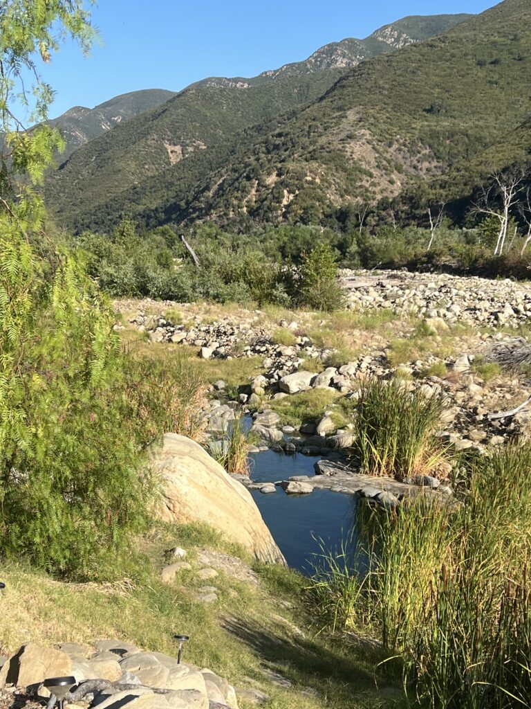 Hot springs in Matilija Canyon