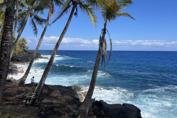Coast of Pahoa
