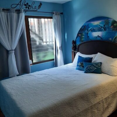 Blue room with Queen bed